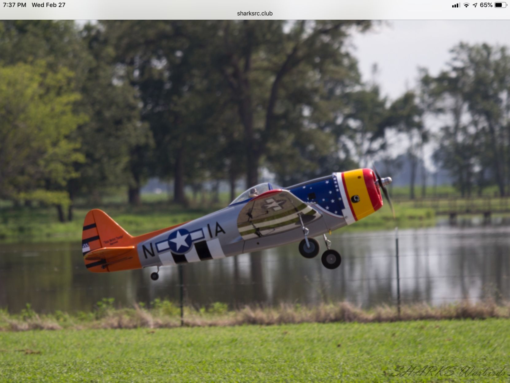 Sharks Warbirds Event
